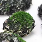 Dekoratív sziklás kövek 6db/cs