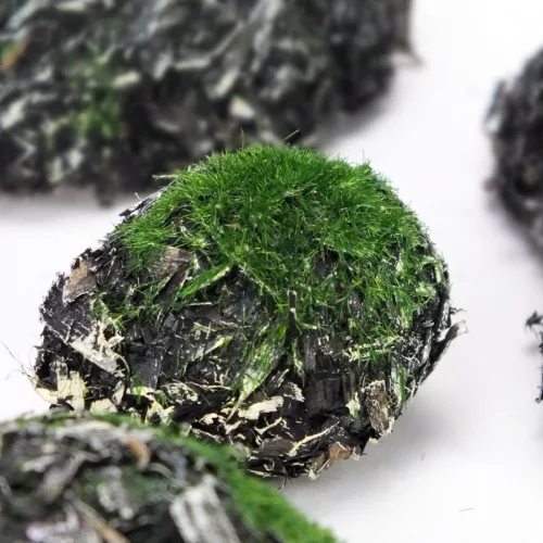 Dekoratív sziklás kövek 6db/cs