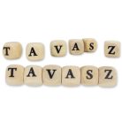   Nyomtatott fa  dobókocka natúr - TAVASZ felirattal 2szett/csomag