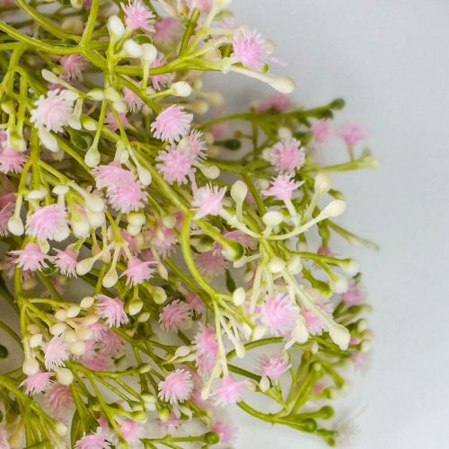 Rezgő csokor- rózsaszín 2db/csomag