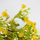 Rezgő csokor- sárga 2db/csomag