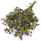 Rezgő csokor- sötétlila 2db/csomag