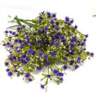 Rezgő csokor- sötétlila 2db/csomag