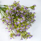 Rezgő csokor- világoslila 2db/csomag