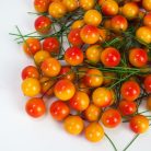  Beszúrós bogyó narancs 1cm 100/cs