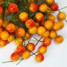  Beszúrós bogyó narancs 1cm 100/cs
