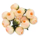 Begónia virágfej barack 2cm 15db/csom
