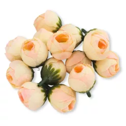 Begónia virágfej barack 2cm 15db/csom