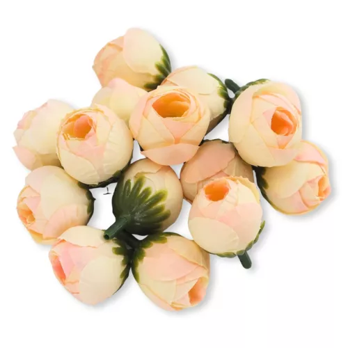 Begónia virágfej barack 2cm 15db/csom