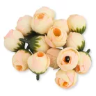 Begónia virágfej barack 2cm 15db/csom