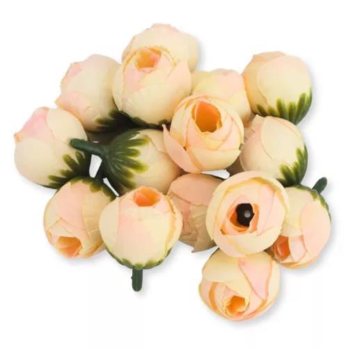 Begónia virágfej barack 2cm 15db/csom