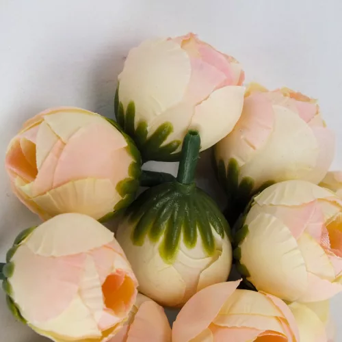 Begónia virágfej barack 2cm 15db/csom