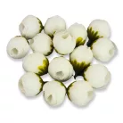 Begónia virágfej fehér 2cm 15db/csom