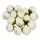 Begónia virágfej fehér 2cm 15db/csom