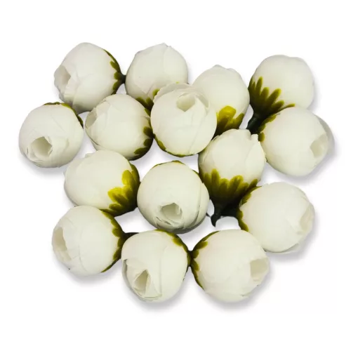 Begónia virágfej fehér 2cm 15db/csom
