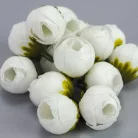 Begónia virágfej fehér 2cm 15db/csom