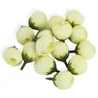 Begónia virágfej krém 2cm 15db/csom