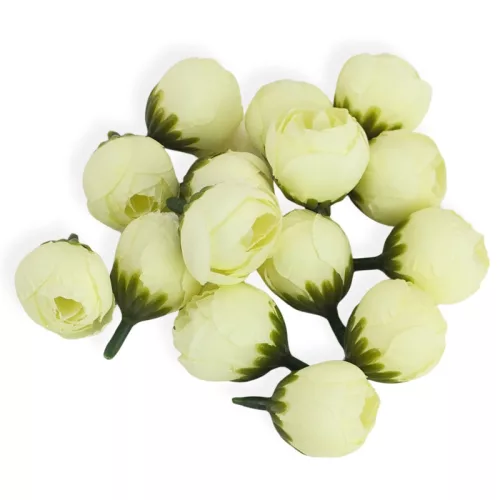 Begónia virágfej krém 2cm 15db/csom