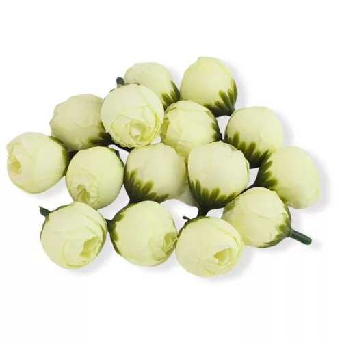 Begónia virágfej krém 2cm 15db/csom