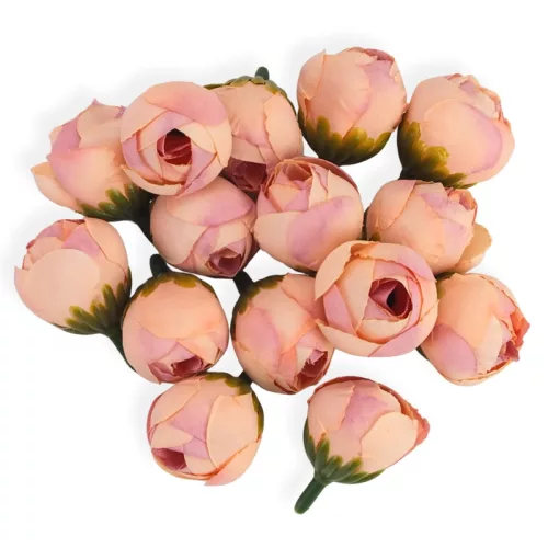 Begónia virágfej barack 2cm 15db/csom