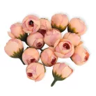 Begónia virágfej barack 2cm 15db/csom