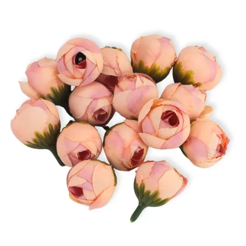 Begónia virágfej barack 2cm 15db/csom