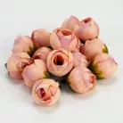 Begónia virágfej barack 2cm 15db/csom