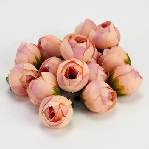 Begónia virágfej barack 2cm 15db/csom