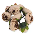 Begónia virágfej cirmos barack 3,5cm 10db/csom