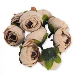 Begónia virágfej cirmos barack 3,5cm 10db/csom