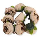 Begónia virágfej cirmos barack 3,5cm 10db/csom