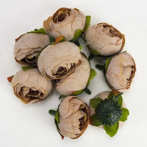 Begónia virágfej cirmos barack 3,5cm 10db/csom