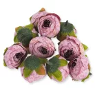 Begónia virágfej cirmos mályva 3,5cm 10db/csom