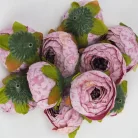 Begónia virágfej cirmos mályva 3,5cm 10db/csom