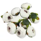 Begónia virágfej fehér 3,5cm 10db/csom