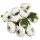 Begónia virágfej fehér 3,5cm 10db/csom