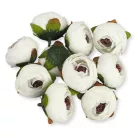 Begónia virágfej fehér 3,5cm 10db/csom