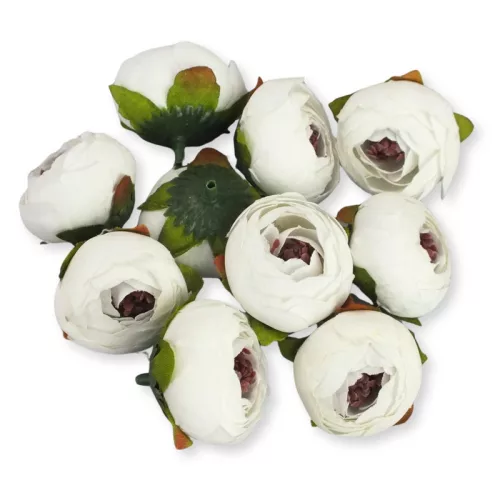 Begónia virágfej fehér 3,5cm 10db/csom