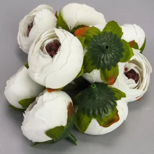 Begónia virágfej fehér 3,5cm 10db/csom
