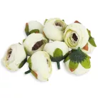 Begónia virágfej krém 3,5cm 10db/csom