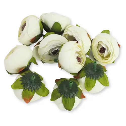 Begónia virágfej krém 3,5cm 10db/csom