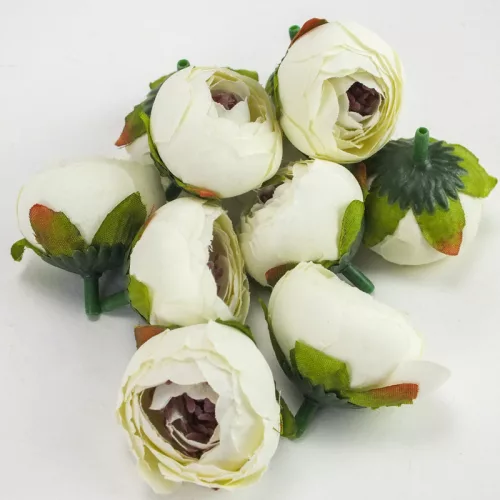 Begónia virágfej krém 3,5cm 10db/csom