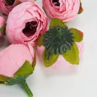 Begónia virágfej rózsaszín 3,5cm 10db/csom