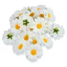 Margaréta virágfej 4cm 20db/csomag