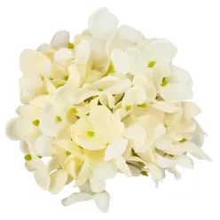 Hortenzia virágfej 10cm fehér