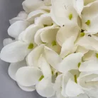 Hortenzia virágfej 10cm fehér