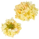 Hortenzia virágfej 10cm krém