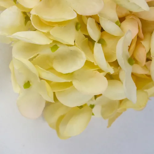 Hortenzia virágfej 10cm krém