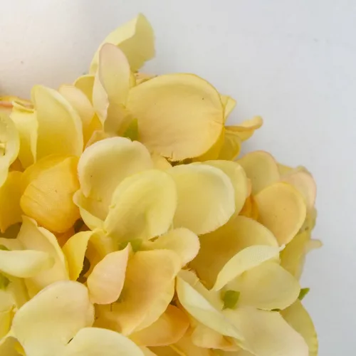 Hortenzia virágfej 10cm krém