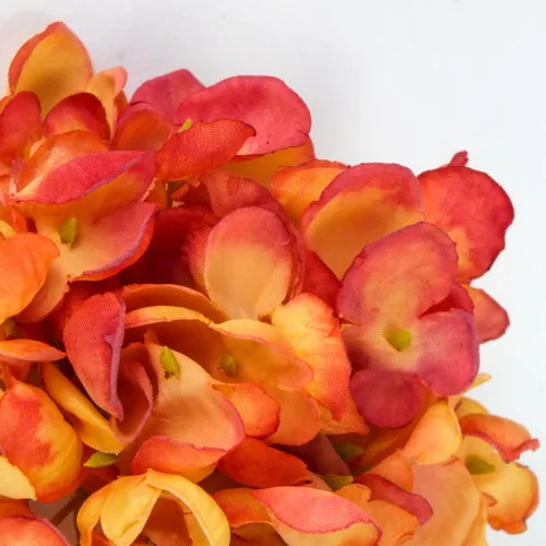 Hortenzia virágfej 10cm terrakotta